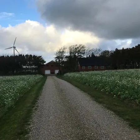 Ny Roesgaard Apartman Lemvig