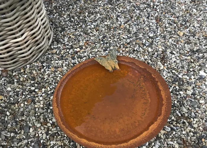 Ny Roesgaard * 렘비그